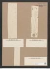 Pleurosigma stuxbergii Cl. et Gr. (de-Toni-Nr.: Genus 13, Species 1053) Zeichnungen Sammlung Grunow Nr. 1894 (NHMW-BOT-W0369010)